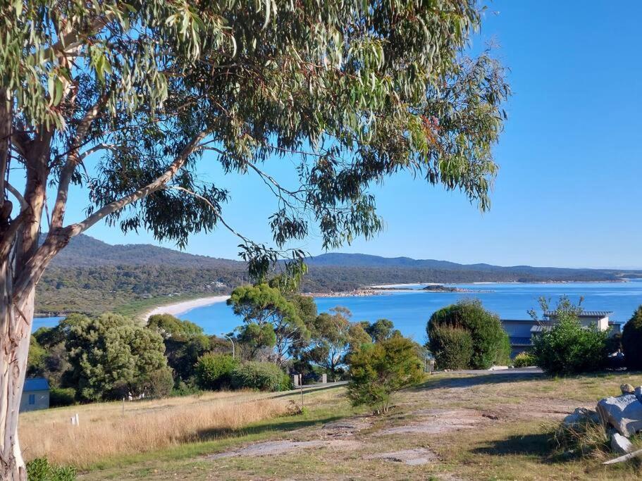 Old Salty Villa Binalong Bay Exterior photo